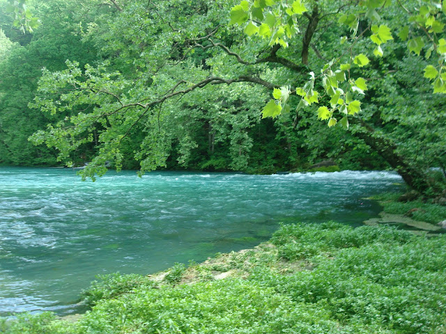 Official Missouri StL KC etc too Picture Thread St 